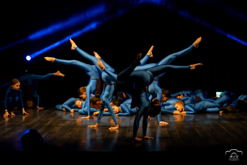 Gala de Crăciun 2024 - Together Dance