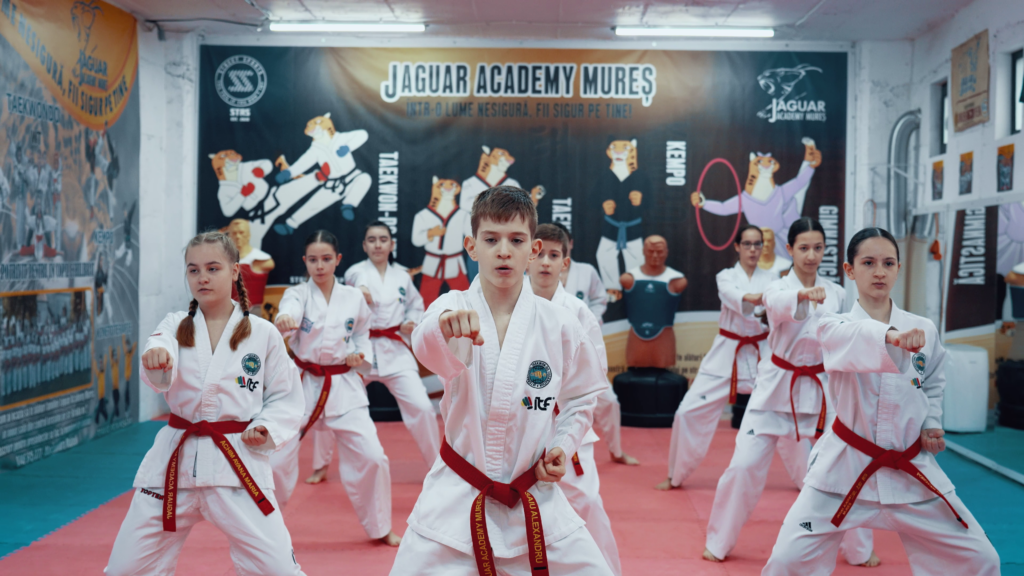 Jaguar- Taekwon-Do ITF