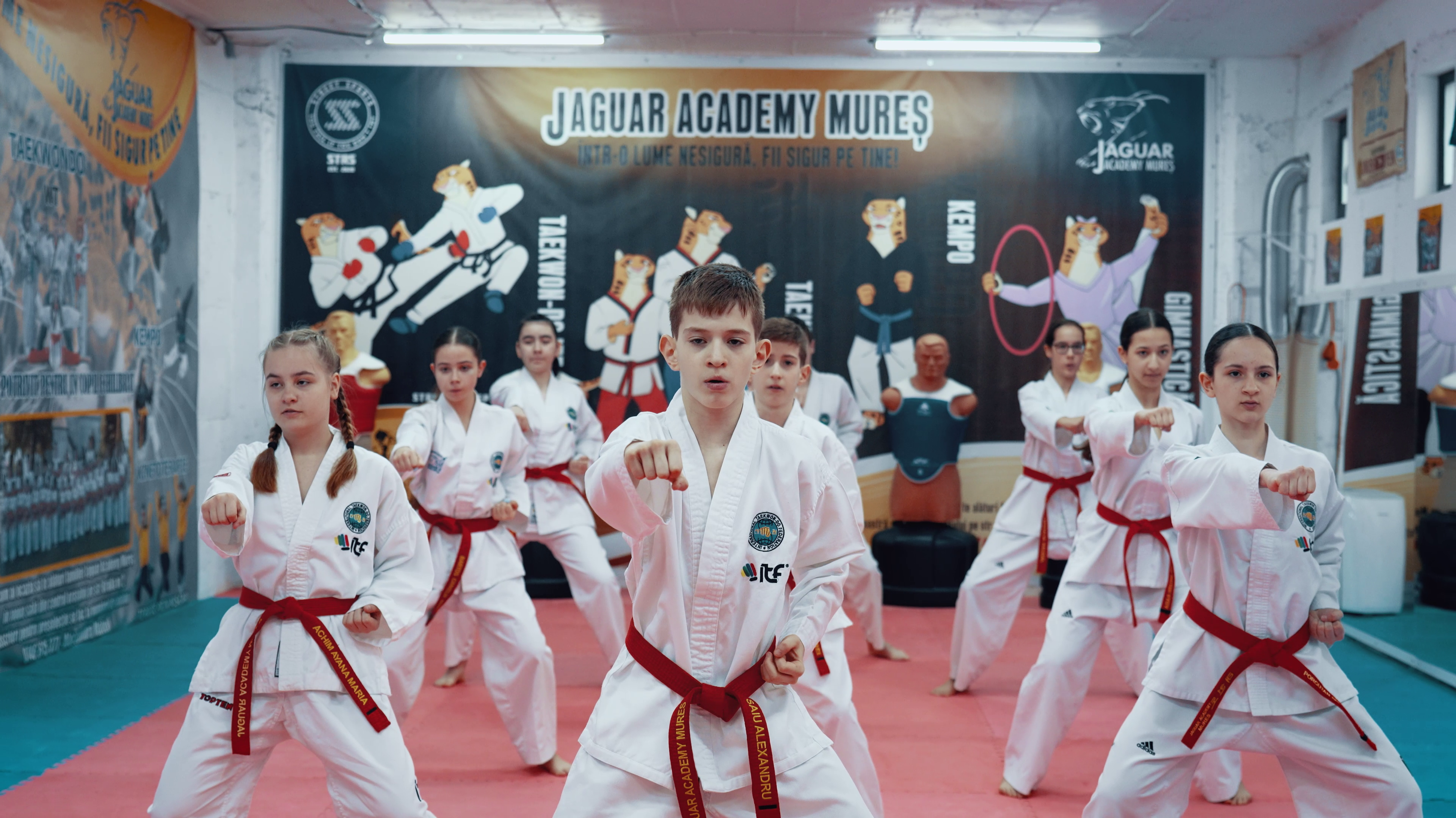 Jaguar- Taekwon-Do ITF
